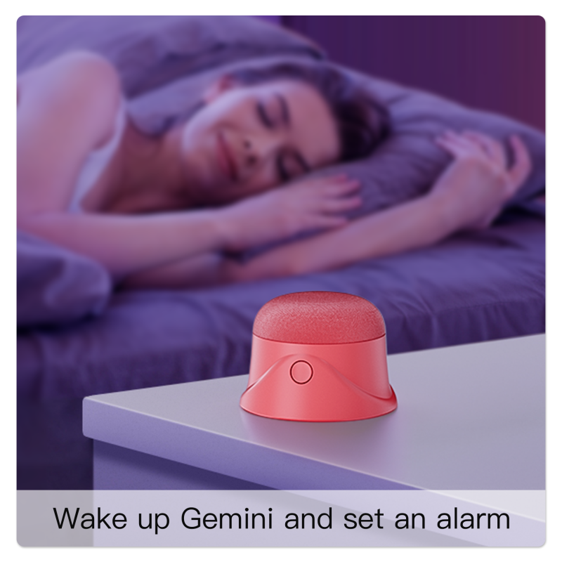 Portable Speaker Manufacturer - On-demand Conversations Anywhere