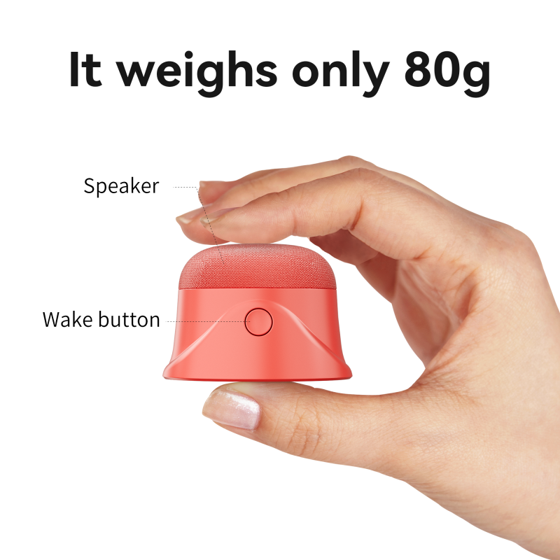 Portable Speaker Manufacturer - On-demand Conversations Anywhere