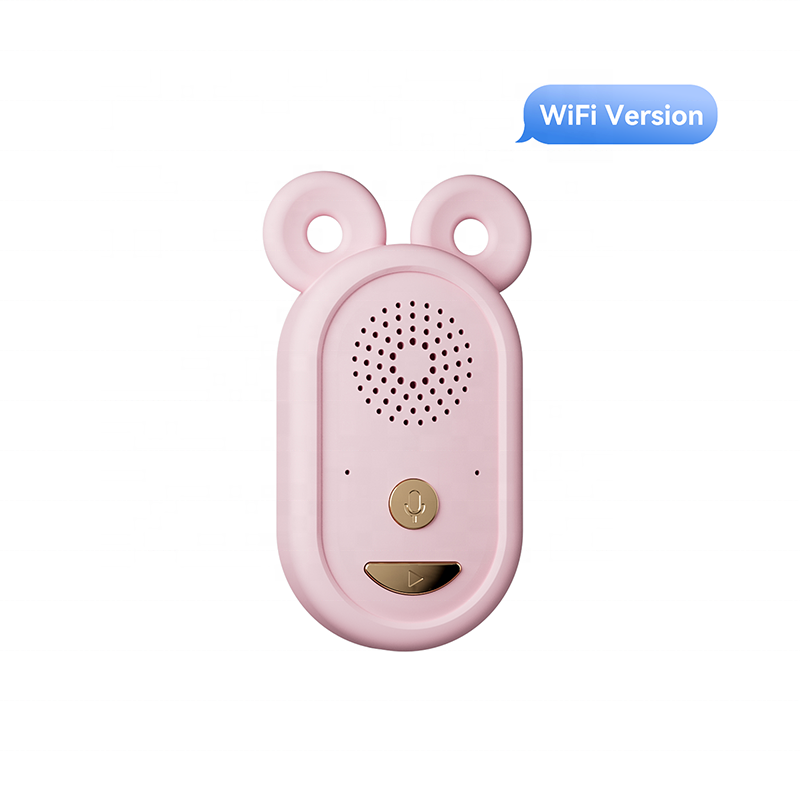 WiFi Speaker Factory - Built-in Unplugged Brilliance Design