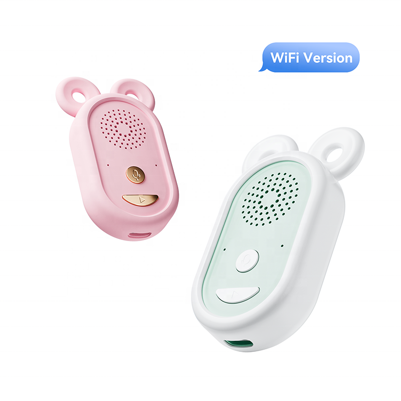 WiFi Speaker Factory - Built-in Unplugged Brilliance Design