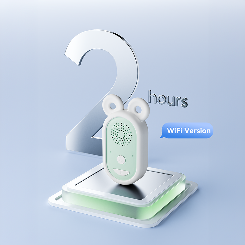 AI Speaker Factory - Color Display Network Storage WiFi