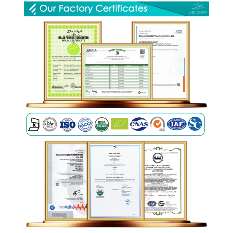 JHD Factory Wholesale Plant Extract Oganic Natural Black Currant Fruit Extract Powder