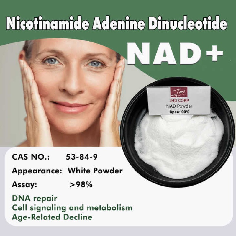 US / EU Warehouse Bulk Aging Support Supplement Nicotinamide Adenine Dinucleotide 99% NAD Powder