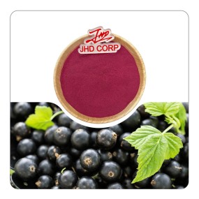 JHD Factory Wholesale Plant Extract Oganic Natural Black Currant Fruit Extract Powder