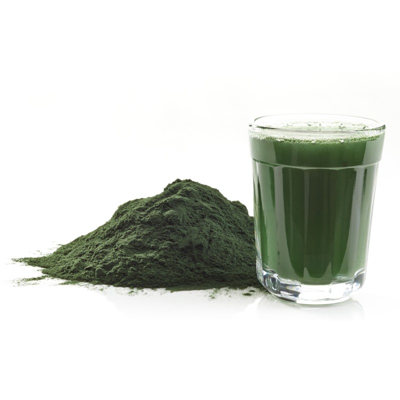 USA EU Warehouse Bulk Organic Broken Wall Chlorella Extract Powder