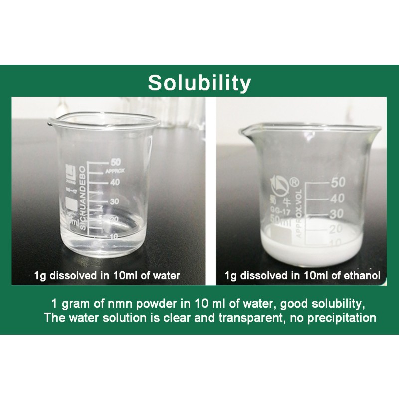 High Quality Cosmetic Raw Material L-Carnosine Powder l Carnosine