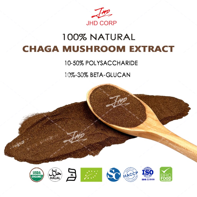 USA EU Warehouse Mushroom Fruiting Bodies Extract Chaga Mushroom Powder