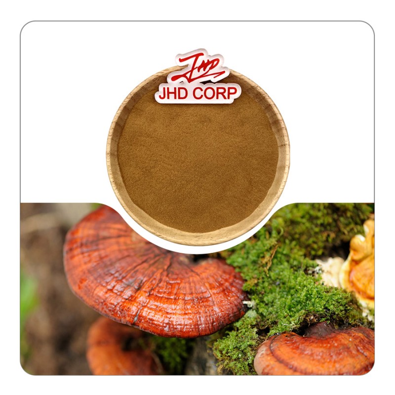 JHD Factory Wholesale Bulk Plant Extract Polysaccharide 10%-50% HPLC Reishi Mushroom Extract Powder