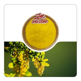 JHD Factory Wholesale Plant Extract Super High Quality Berberine 97% 98% Dihydroberberine Supplement Powder