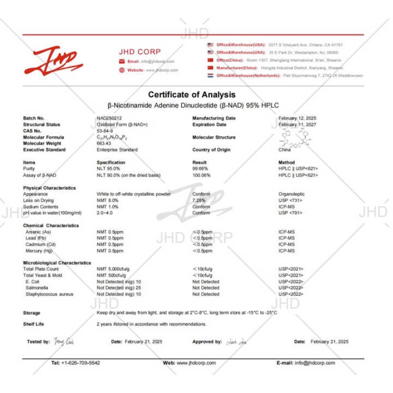 US / EU Warehouse Bulk Aging Support Supplement Nicotinamide Adenine Dinucleotide 99% NAD Powder