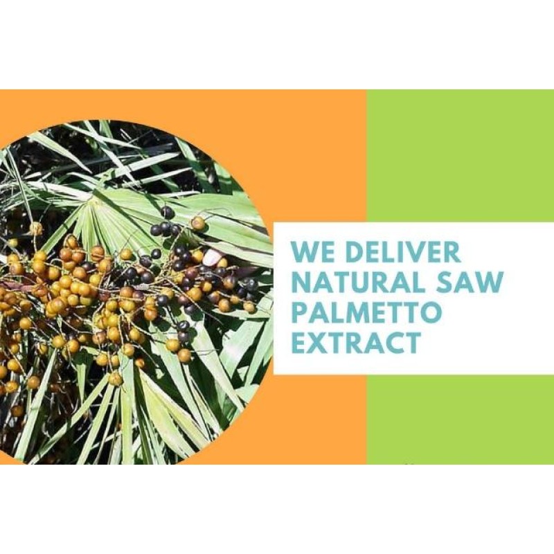 US Stock 100% Natural Health Supplement 4:1 10:1 Saw Palmetto Extract Powder