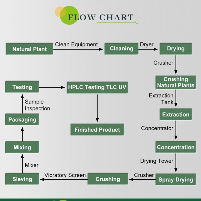 US / EU Warehouse Bulk Plant Extract Top Quality Hot Selling 5:1 10:1 20:1 Organic Persimmon Fruit Extract