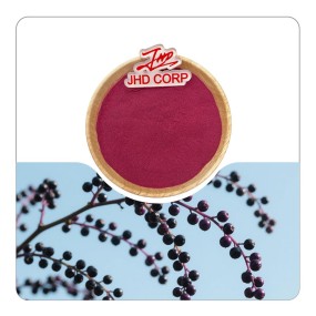 US / EU Warehouse Wholesale Dried Supply Plant Extract Organic Black Elderberry Fruit Juice Powder