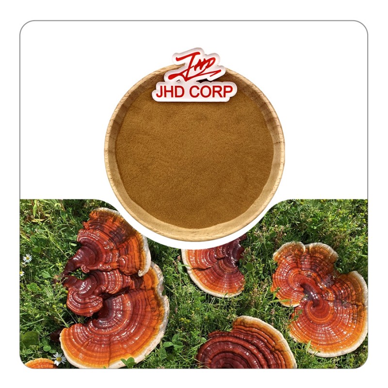 US / EU Warehouse Bulk Plant Extract Ratio 4:1 10:1 12:1 TLC Straight Powder Reishi Mushroom Extract Powder