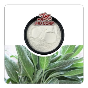 High Quality Sage Salvia Officinalis Extract Carnosic Acid Sage Leaf Extract