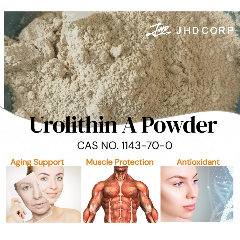 EU / US Warehouse Bulk Plant Extarct Manufacturers Supply Best Price Pure Natural China Origin Purity 98% Urolithin a Powder