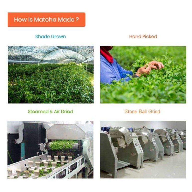 OEM Private Label Ceremonial Grade Matcha Tin Organic Matcha Green Tea Powder