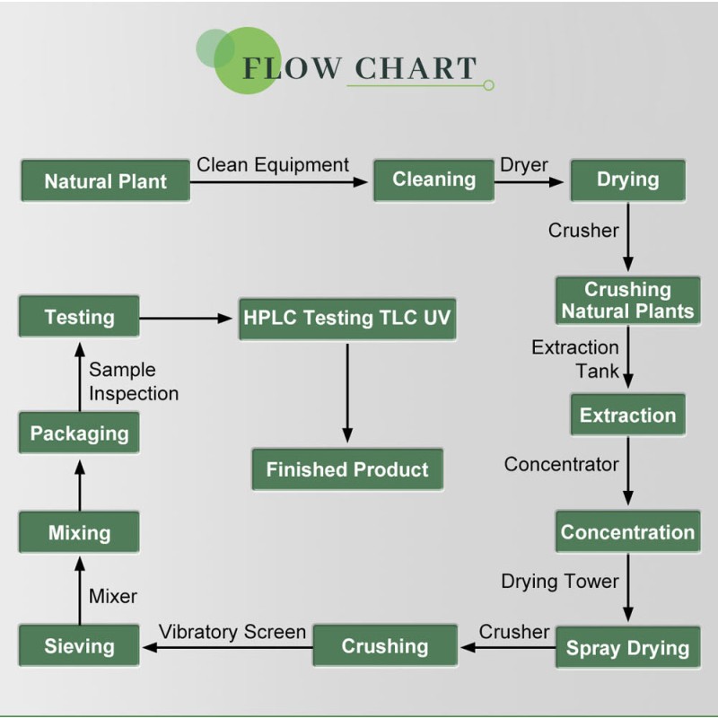 USA / EU Warehouse Wholesale Water Soluble Coconut Powder Bulk Pure Natural Organic Coconut Water Juice Powder