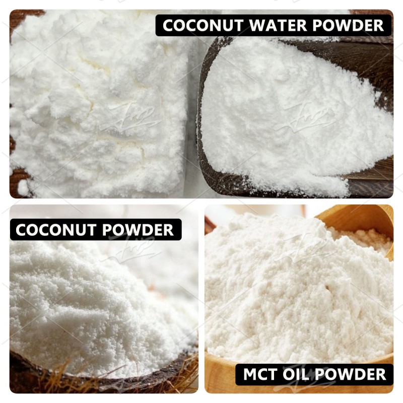 USA / EU Warehouse Wholesale Bulk Coconut Ice Cream Powder for Ice Cream