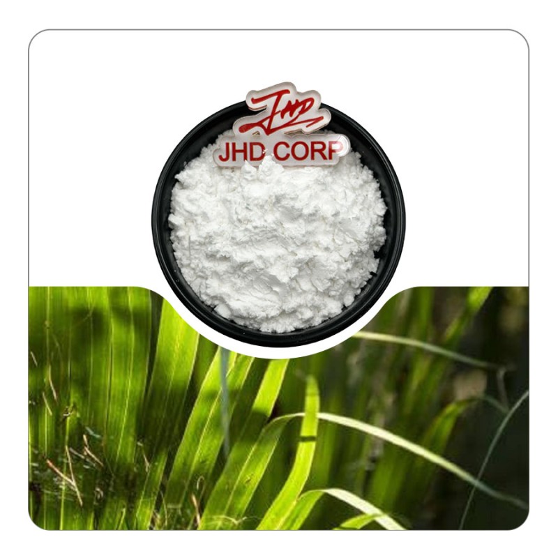 US Stock 100% Natural Health Supplement 4:1 10:1 Saw Palmetto Extract Powder