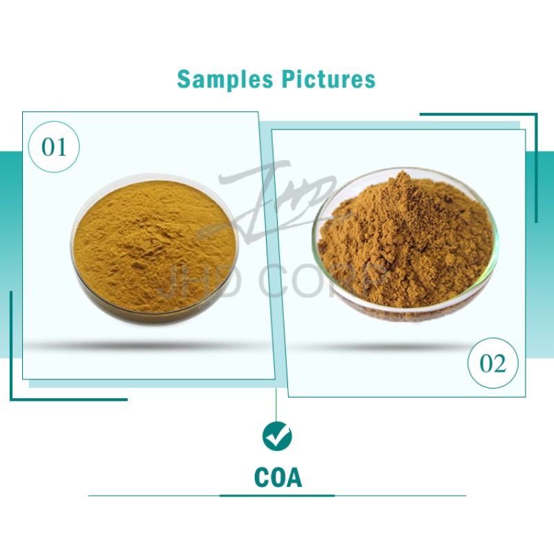 JHD Factory Wholesale Bulk Plant Extract Polysaccharide 10%-50% HPLC Reishi Mushroom Extract Powder