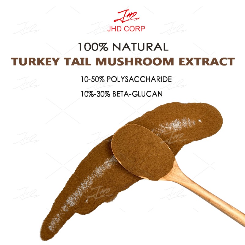 JHD Organic Coriolus Versicolor Turkey Tail Mushroom Extract Powder