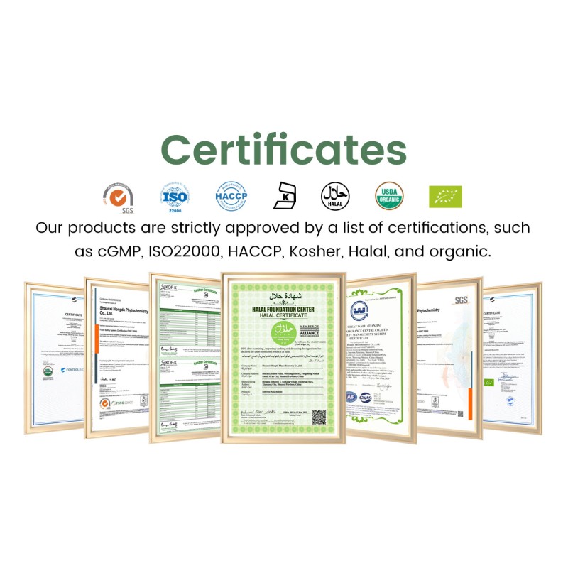 JHD Factory Wholesale Bulk CAS 56-85-9 L-Glutamine L Glutamine Powder Glutamine Powder