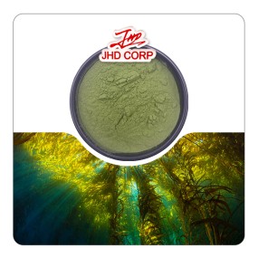 EU / US Warehouse Broken Wall Chlorella Powder Chlorella Vulgaris Powder in Bulk Supplier Chlorella Powder