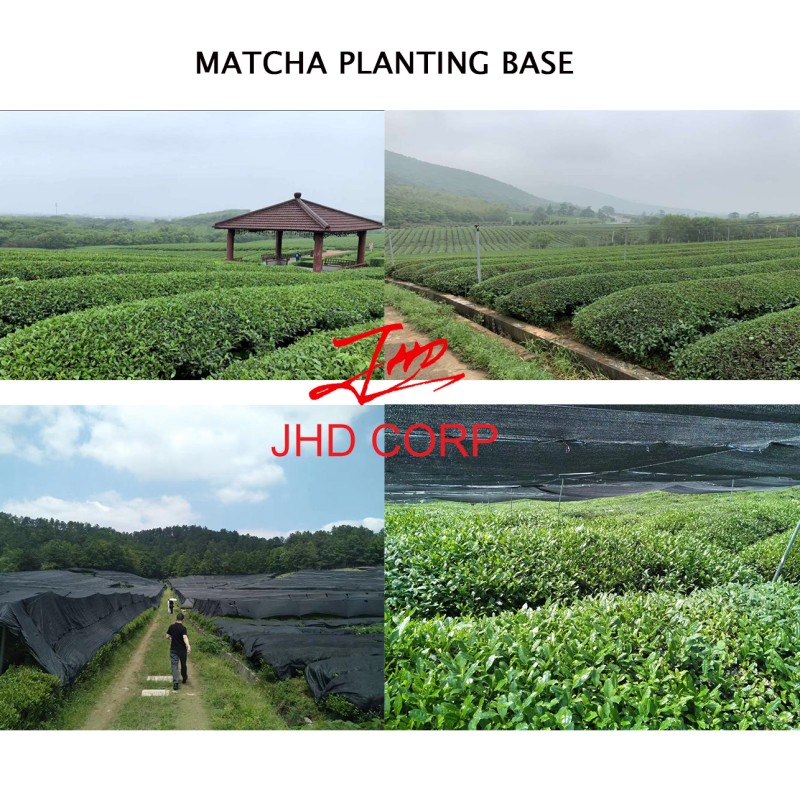 US / EU Warehouse Bulk Ceremonial Grade Organic Green Tea Matcha Powder