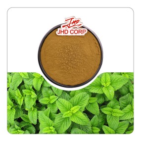 JHD Warehouse Supply Plant Extract Natural Rosemarinic Acid Lemon Balm Extract Powder