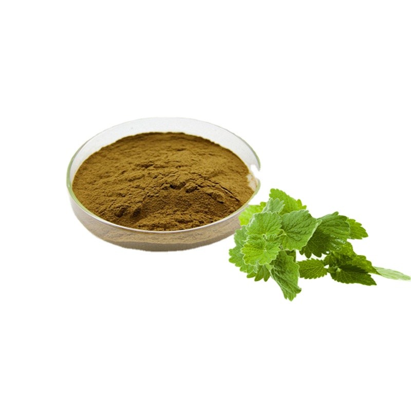 JHD Warehouse Supply Plant Extract Natural Rosemarinic Acid Lemon Balm Extract Powder