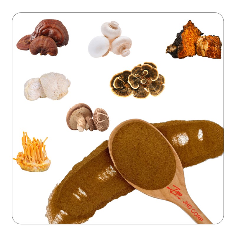 JHD Factory Wholesale Bulk Plant Extract Polysaccharide 10%-50% HPLC Reishi Mushroom Extract Powder