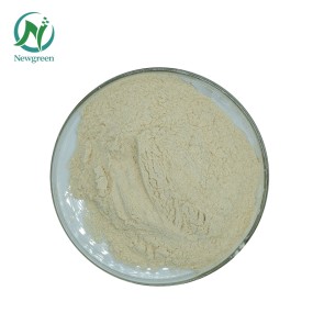 Newgreen Wholesale Food Additive 10% Ara Powder Arachidonic Acid