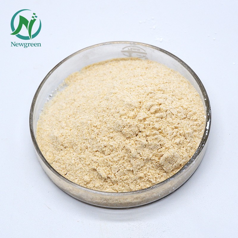 The Merchant Stock Supply Snail Mucus Extract Powder 80 Mesh With Good Price