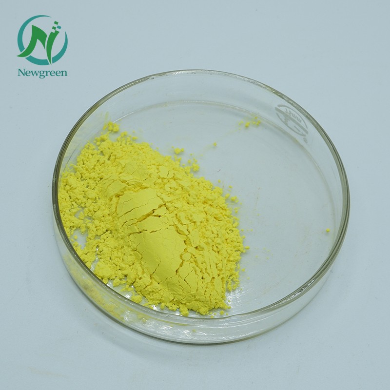 Newgreen Wholesale Bulk Price Food Grade Healthcare Supplement Alpha-lipoic Acid Powder 99% for Sale