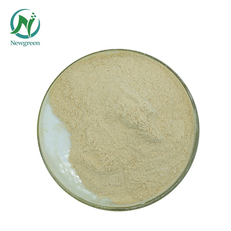 Newgreen Arachidonic Acid Powder ARA 10% Arachidonic Acid Price Bulk Arachidonic Acid Powder