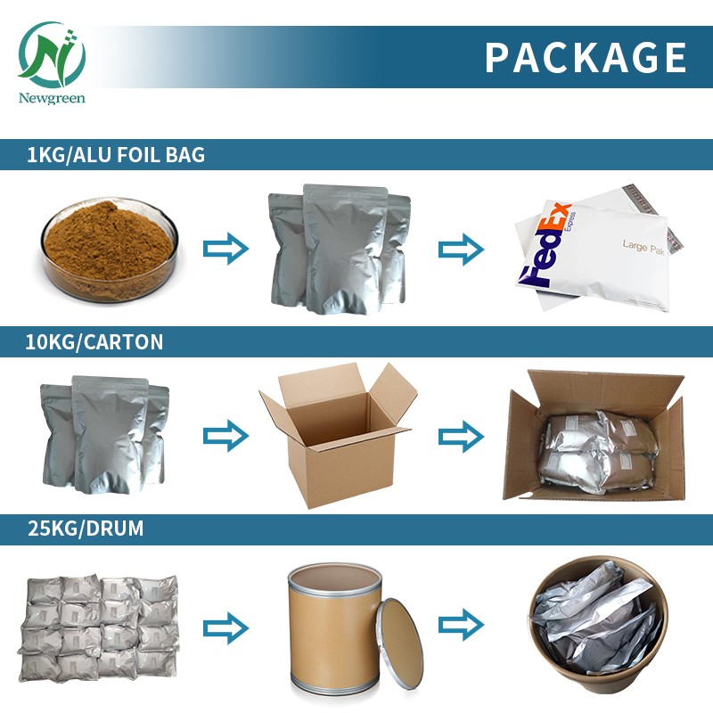 Newgreen Supply Food Grade Vitamin B3 Niacinamide Powder