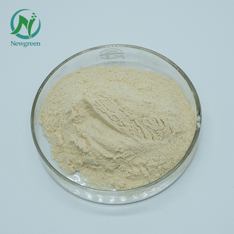 Newgreen High Quality Food Grade Sunflower Lecithin Price