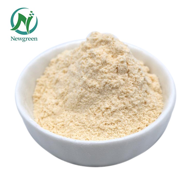 Newgreen High Quality Nutritional Yeast 2000ppm Pure Selenium Enriched Yeast Powder