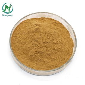 High Quality Dried Chamomile Flowers Extract Chamomile Extract Bulk 10:1