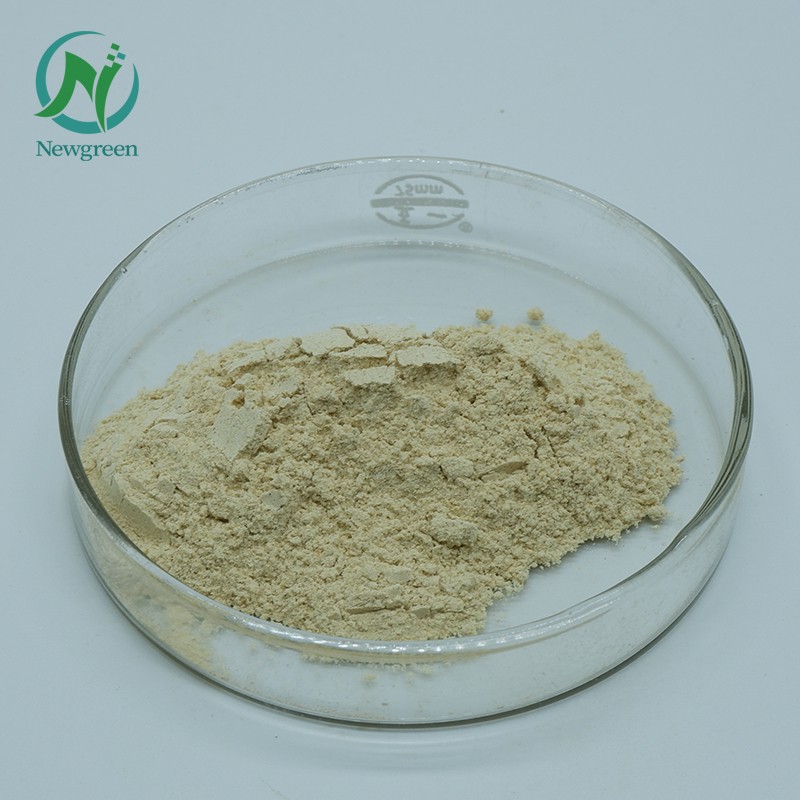Best Price Food Grade Bacillus Subtilis Probiotic Powder