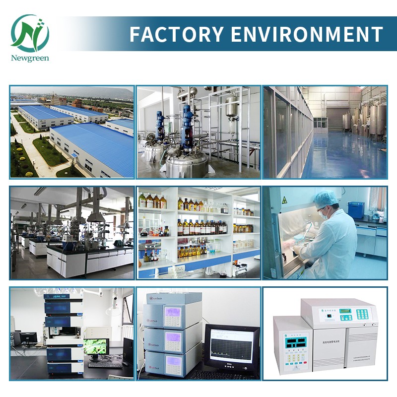 Newgreen Factory OEM Private Label Tongkat Ali Root Extract Capsules 500mg Tongkat Ali Capsule