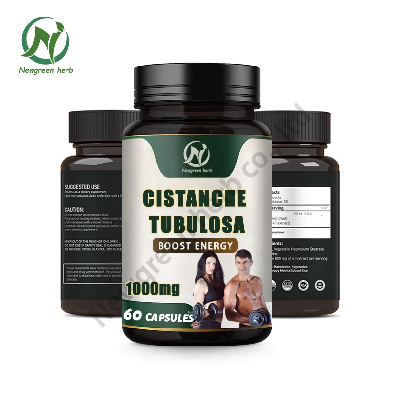 Newgreen Factory OEM Private Cistanche Tubulosa Extract Capsules Cistanche Tubulosa Capsule