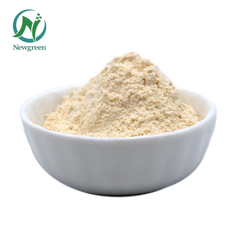 Newgreen High Quality Nutritional Yeast 2000ppm Pure Selenium Enriched Yeast Powder