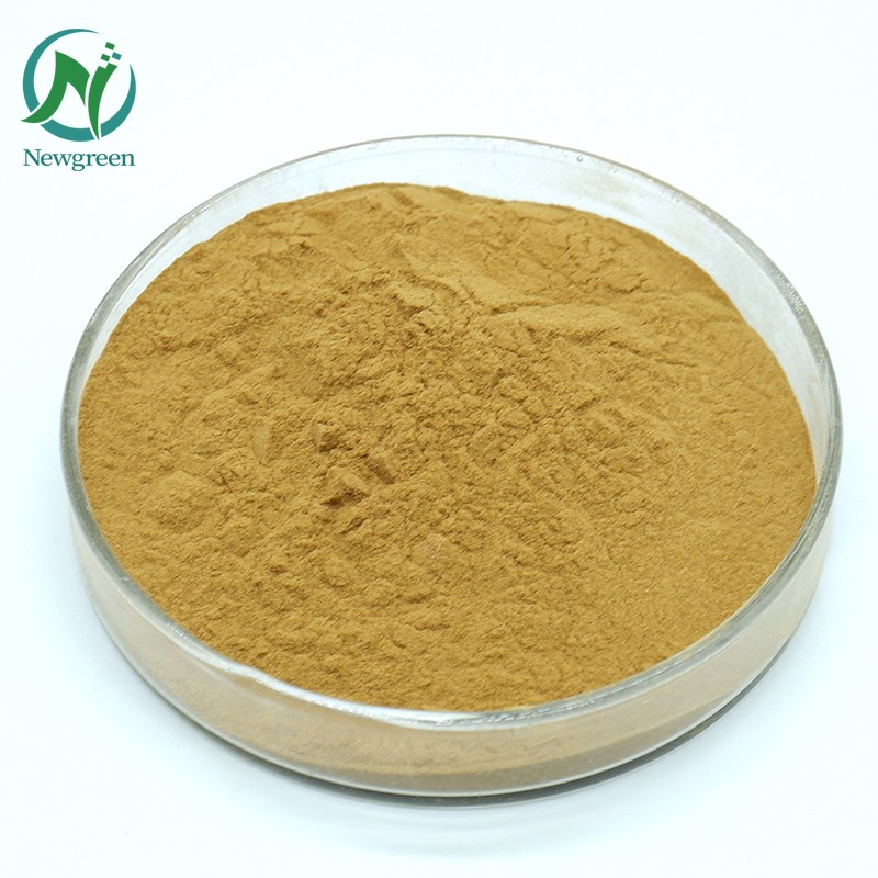 Factory Supply Top Quality Shikakai Extract Powder Shikakai Powder for Hair