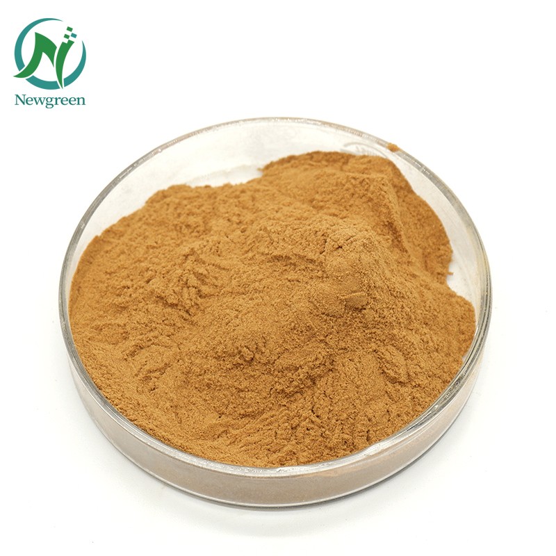 High Quality Panax Notoginseng Root Extract /Radix Notoginseng P.E.