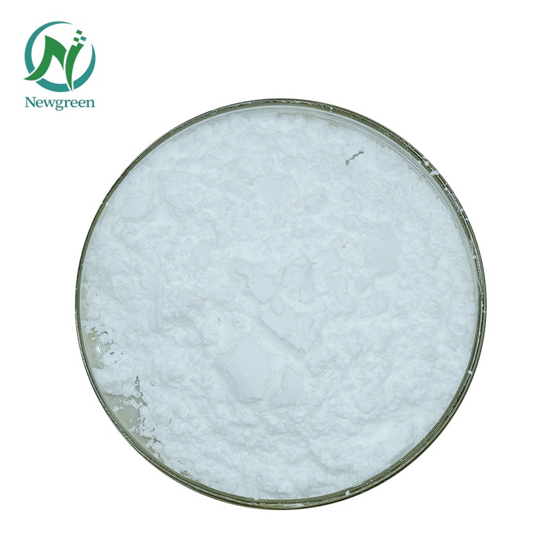 Wholesale Price Lactobacillus Bulgaricus Probiotics Powder