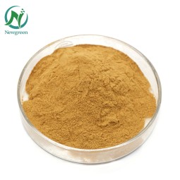 High Quality Panax Notoginseng Root Extract /Radix Notoginseng P.E.