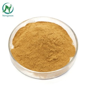 High Quality Panax Notoginseng Root Extract /Radix Notoginseng P.E.