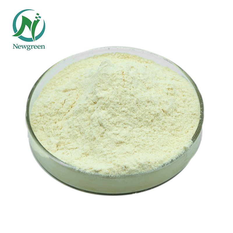 Newgreen Manufacturer Supply High Quality Food Additives Modified Citrus Pectin Powder